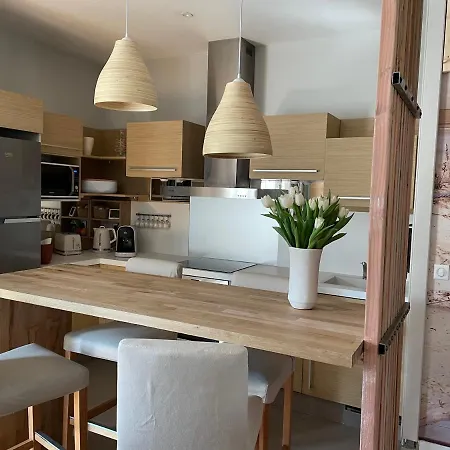 Central Et Confortable Appartamento Arcachon